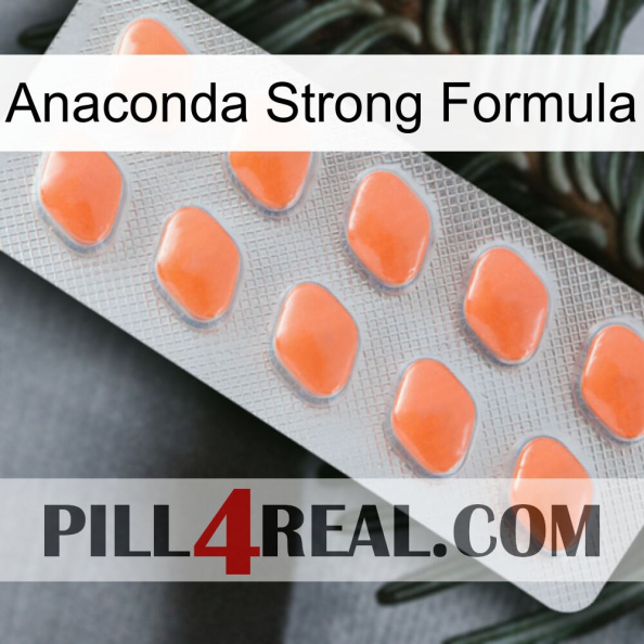 Anaconda Strong Formula 26.jpg